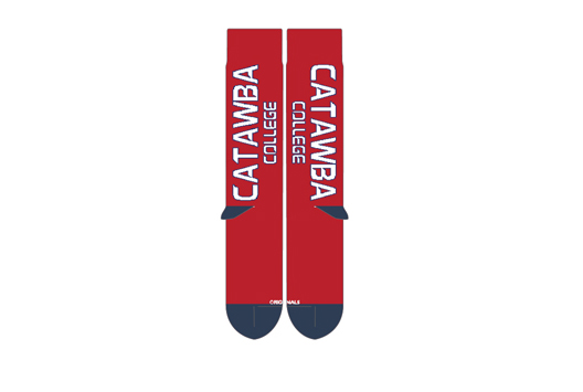 Giving Day - Catawba Socks